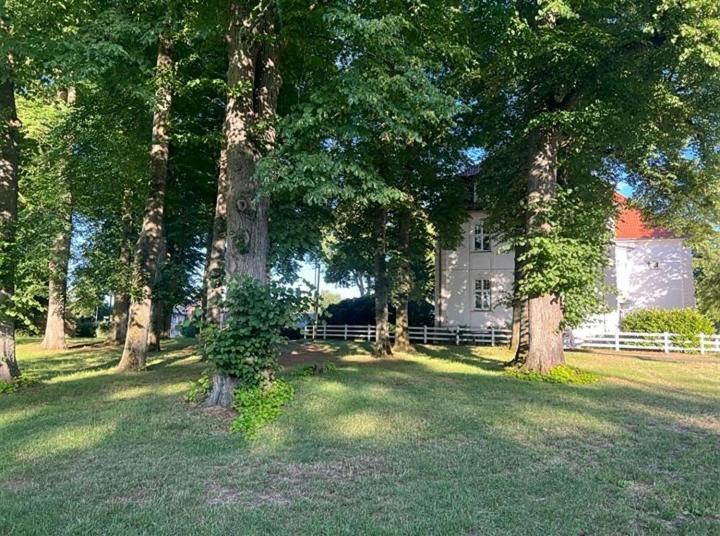 Familienfreundliche Ferienwohnung Mit Wintergarten Badow Exteriér fotografie
